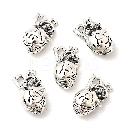 Tibetan Style Alloy Pendants FIND-NH0001-17AS-02-1