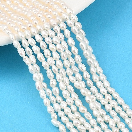 Natural Cultured Freshwater Pearl Beads Strands PEAR-F020-17-1