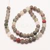 Natural African Bloodstone Beads Strands G-P295-05-10mm-2