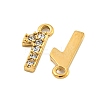 304 Stainless Steel Pendants STAS-L080-002G-01-2