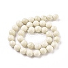 Natural Fossil Round Bead Strands G-O151-02-10mm-2