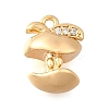 Brass Micro Pave Cubic Zirconia Charms KK-C096-06G-1