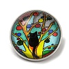 Round Glass Brooches FIND-Q096-01E-1
