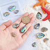 HOBBIESAY 12Pcs 3 Styles Natural Abalone Shell/Paua Shell Beads SHEL-HY0001-02-3
