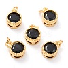 Real 18K Gold Plated Brass Inlaid Cubic Zirconia Charms ZIRC-L100-081G-04-1