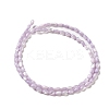 Natural Trochus Shell Beads Strands SHEL-K006-19B-2