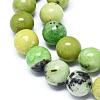Natural Serpentine Beads Strands G-F576-01-10mm-3