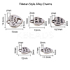 Tibetan Style Alloy Charms TIBE-CJ0001-08-2