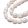 Natural Cultured Freshwater Pearl Beads Strands PEAR-N012-05C-4