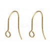 316 Surgical Stainless Steel Earring Hooks STAS-P162-13G-B01-1
