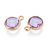 Golden Tone Brass Glass Charms X-GLAA-ZX008-24I-G-2
