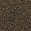 MIYUKI Round Rocailles Beads SEED-G007-RR0457-3