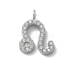 304 Stainless Steel Micro Pave Cubic Zirconia Charms STAS-Z107-09P-09-1
