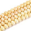 Anti-Tarnish Electroplate Glass Beads Strands GLAA-T025-8mm-19E-1