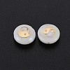Natural Freshwater Shell Beads SHEL-S278-062-3