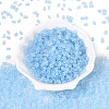 FGB Frosted Transparent Glass Seed Beads SEED-N013-06A-11-2