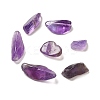 Natural Amethyst Chip Beads G-Q193-02B-2