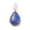 Natural Lapis Lazuli Copper Wire Wrapped Pendants PALLOY-JF01398-01-1