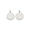 Non-Tarnish 304 Stainless Steel Charms STAS-N097-158P-1