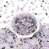 Transparent Glass Seed Beads SEED-N014-01A-01-2