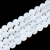 Opalite Beads Strands X-G-T106-337-1