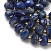 Natural Lapis Lazuli Beads Strands G-L642-J08-02-5