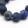 Frosted Natural Sodalite Round Bead Strands G-M064-10mm-01-2