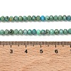 Natural HuBei Turquoise Beads Strands G-P629-B02-01-5