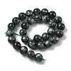 Natural Seraphinite Beads Strands G-C270-O01-13-3