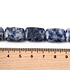Natural Blue Spot Jasper Beads Strands G-S386-A05-5