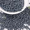 MIYUKI Round Rocailles Beads SEED-X0055-RR2001-4