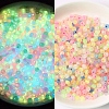 Luminous Translucent Glass Seed Beads PW-WGC2259-13-1