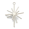 Alloy Pendants PALLOY-E580-05P-2