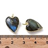 Natural Labradorite Pendants G-G012-11G-06-4