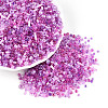 Mixed Electroplate and Non-electroplating Glass Seed Beads GLAA-SZC0007-02A-3