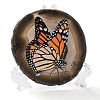Printed Natural Agate Slice Stone Ornament DJEW-M011-03B-1