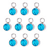 10Pcs Glass Rhinestone Charms STAS-TA0003-26K-1