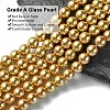 Eco-Friendly Glass Pearl Beads Strands HY-A008-8mm-RB094-3