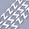 Natural Freshwater Shell Beads SHEL-T012-59Z-1