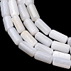 Natural Freshwater Shell Beads Strands SH-CBA2978-21B-2