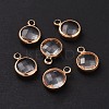 Golden Tone Brass Glass Flat Round Charms GLAA-M003-A-21G-4