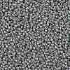 TOHO 11/0 Round Beads SEED-XTR11-PF0565-2