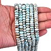 Natural Larimar Beads Strands G-H004-A01-02-3