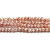 Opaque Baking Paint Glass Beads Strands DGLA-F002-01D-1