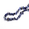 Natural Sodalite Chips Beads Strands G-O049-A-08-3