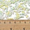 Macaron Color Opaque Frosted Glass Seed Beads SEED-K009-12B-04-4
