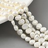 Natural Cultured Freshwater Pearl Beads Strands PEAR-A006-04H-1