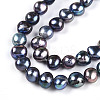 Natural Cultured Freshwater Pearl Beads Strands PEAR-N014-06G-06-4