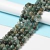 Natural Fuchsite Beads Strands G-K285-40C-1-2