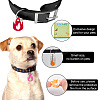 42Pcs 3 Colors Transparent Blank Acrylic Pet Dog ID Tag PALLOY-AB00048-5